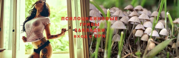 apvp Абдулино