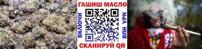 дарнет шоп Шиханы Дистиллят ТГК концентрат